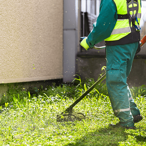 landscape Maintenance