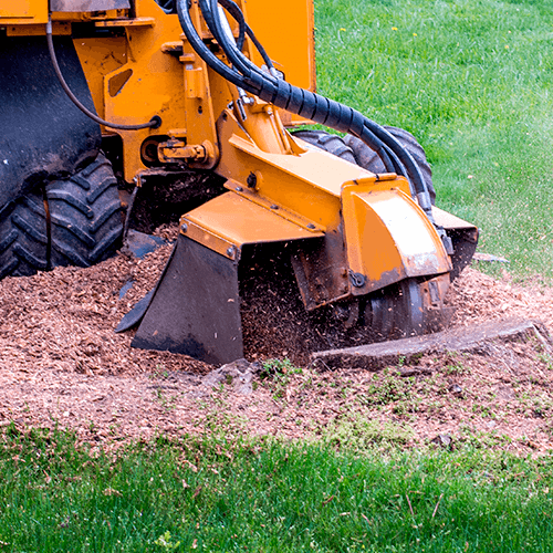 stump grinding